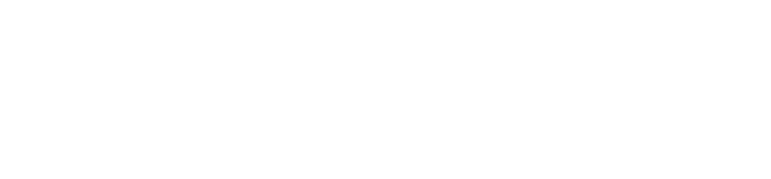 Prof-Dr-Tamer-Sagiroglu-logo